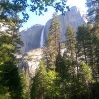 Yosemite falls in de ochtend