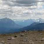 boven op Whistler's Mountain (Jasper)