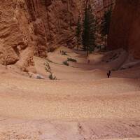 Afdaling in de Bryce Canyon
