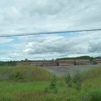 Noordwest Canada: Het gebied van de houtindustrie.