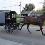 The Amish people 