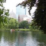 Public Gardens met swanboats