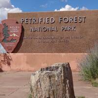 Hier gaan we het National Park in. petrified Forrest.