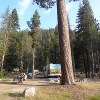 Watchman. Campground Sequoia 