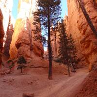 de Navajo loop trail2