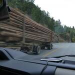Één van de vele houttransporten die we tegen komen