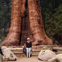 Sequoia National Park Helma ook!