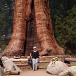 Sequoia National Park Helma ook!