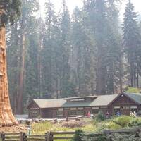 Sequoia National Park het museum