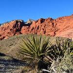 Red Rock Canyon Nat. Conservation Area