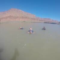 Zwemmen in de Colorado rivier