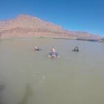 Zwemmen in de Colorado rivier
