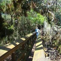 Canapee Walkway in Myakka River State Park bij Sarasota