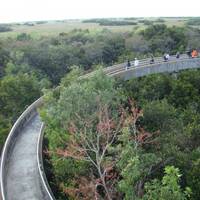 het pad naar de uitkijktoren in Shark Valley in Everglades National Park