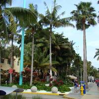 Winkelstraat Lincoln Road in Miami Beach