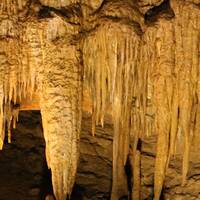 Mammoth Cave NP