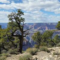 Grand canyon national park (17-04)