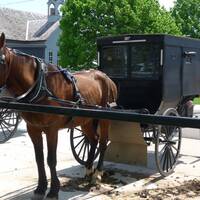 Shipshewana-Amish transport