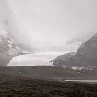 Athabasca gletsjer, Jasper NP