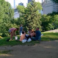 Picknick in Central Park - New York