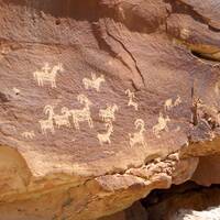 Petroglyphs Wolfe Range Arches