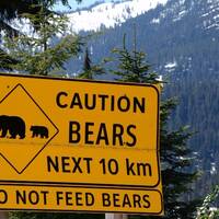 Warning for bears
