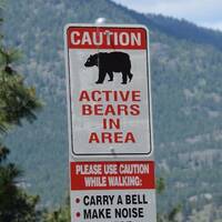 Bear aware