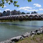 Peace Bridge - Calgary