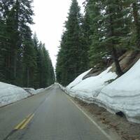 Sneeuw in Sequoia NP