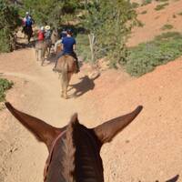 Bryce Canyon - paardrijden