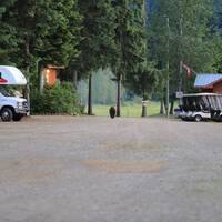Hollende beer op Camping