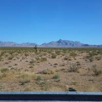 Woestijn bij Las Vegas 