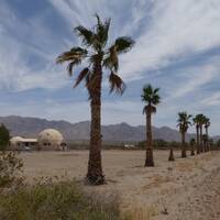 Mojave Woestijn