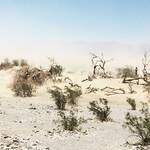 Dust Storms in Death Valley