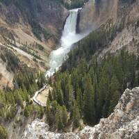 Waterval bij de Canyon van Yellowstone river 