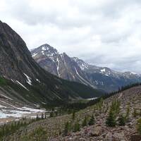 Mount Edith Cavell - Cavell Meadows