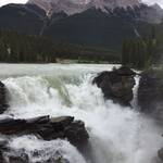 Dag 16 Athabasca Falls