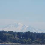 Mount Baker gezien vanaf boot