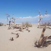 Death Valley, Mesquite Flat Dunes