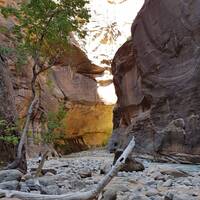 The Narrows (Zion National Park)