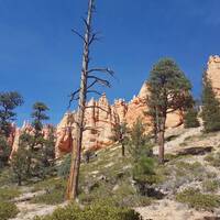 Peek-A-Boo loop trail  (Bryce Canyon)
