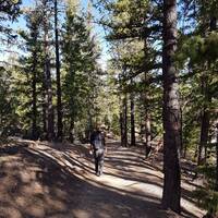 Rim Trail (Bryce Canyon)