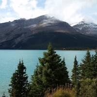 Bow Lake, Icefields Parkway 