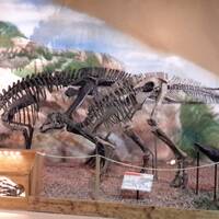 Dinosaur Center in Thermopolis 