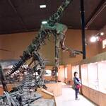 Dinosaur Center in Thermopolis