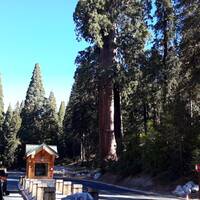 De entree van het Sequoia N.P.