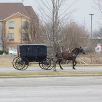 Vervoermiddel Amish