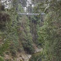 Capilano suspensionbridge 