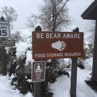 Oppassen voor beren!