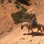 Horseback ride - Bryce Canyon